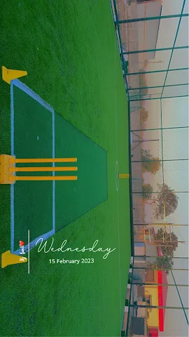Turf photo 4