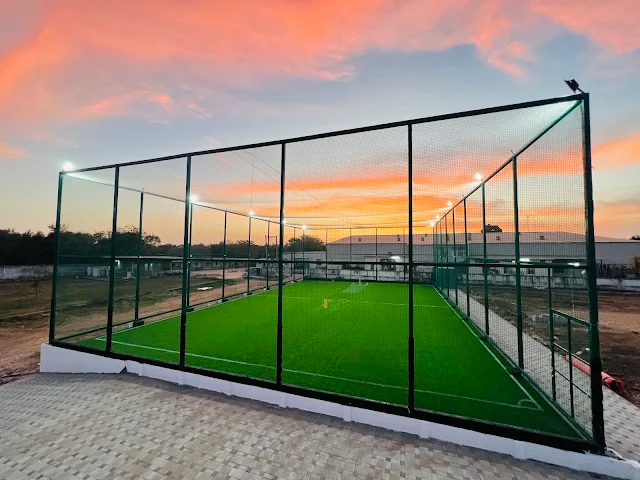 Turf photo 2