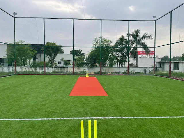 Turf photo 3