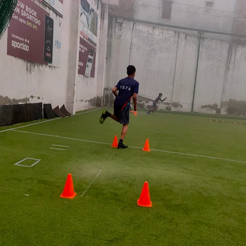 Turf photo 2