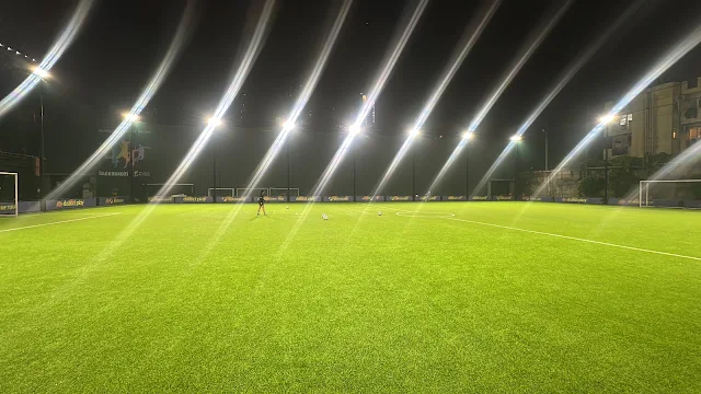 Turf photo 4