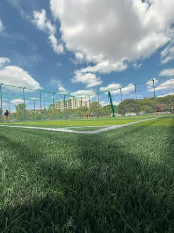 Turf photo 3