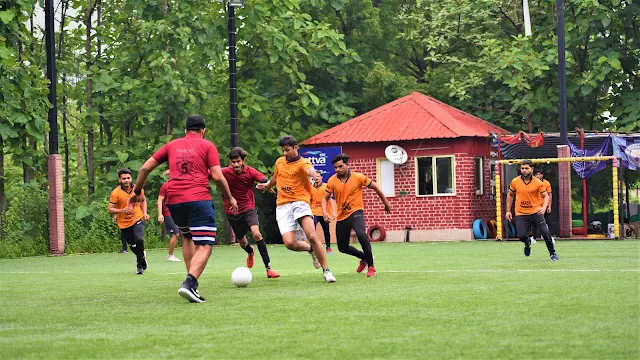 Turf photo 2