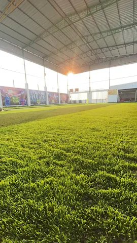 Turf photo 2