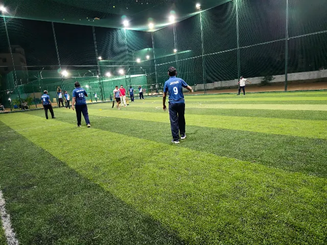 Turf photo 4