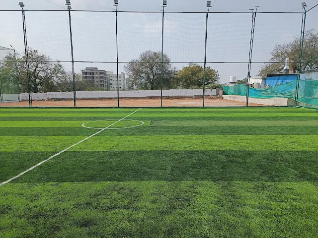 Turf photo 6