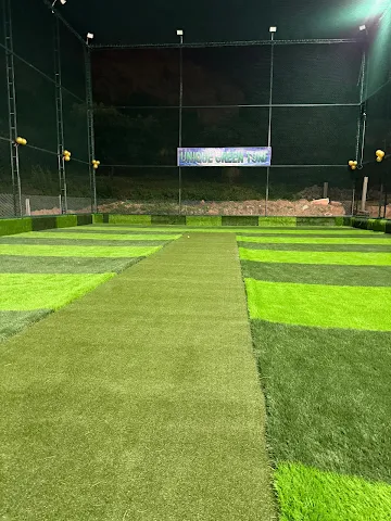 Turf photo 2