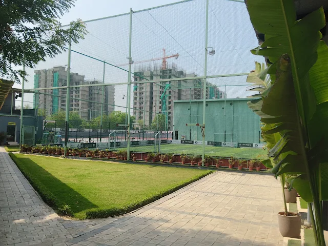 Turf photo 2