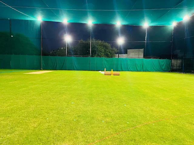 Turf photo 2