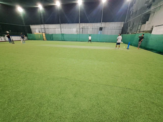 Turf photo 2