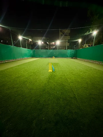 Turf photo 7