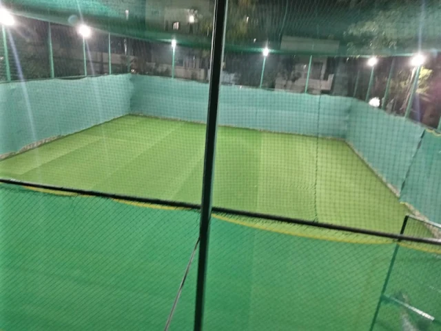 Turf photo 8