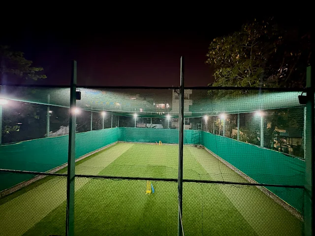 Turf photo 9