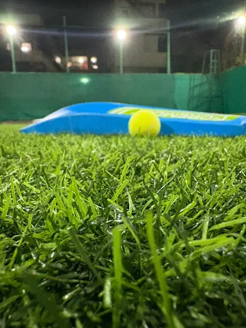 Turf photo 2