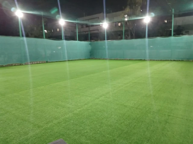 Turf photo 6