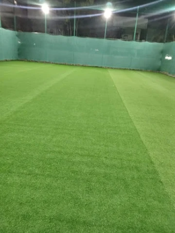 Turf photo 5