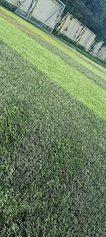 Turf photo 5