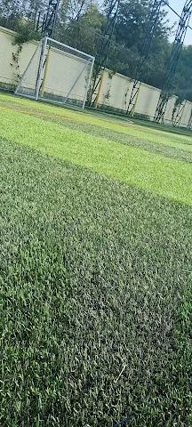 Turf photo 2
