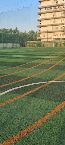 Turf photo 3