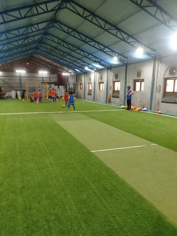 Turf photo 2