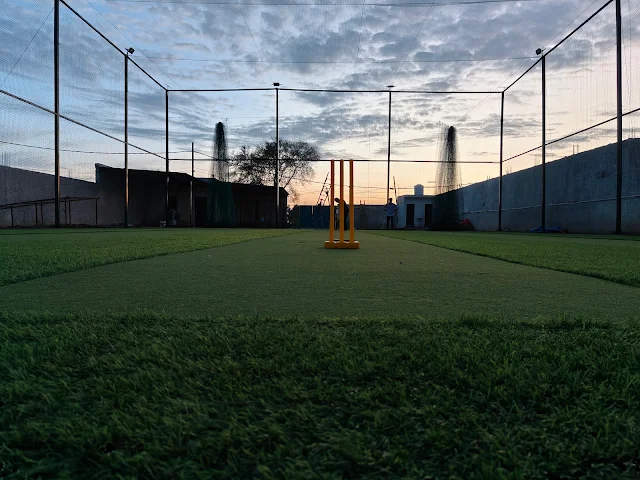 Turf main photo