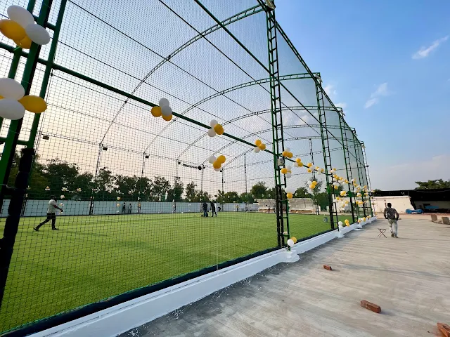Turf photo 2