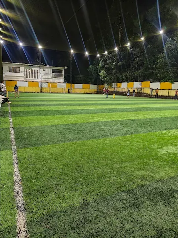 Turf photo 2