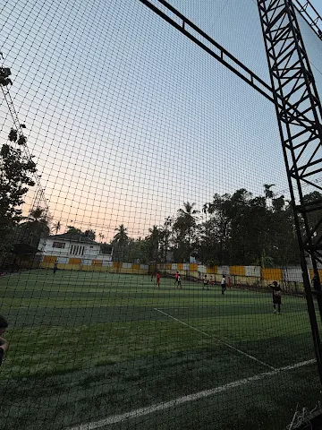 Turf photo 4