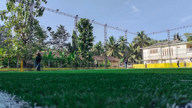 Turf main photo
