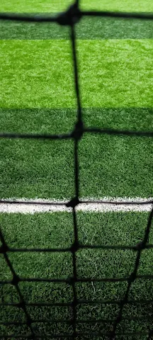 Turf photo 6