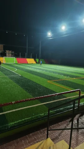 Turf photo 7
