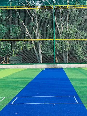 Turf photo 5