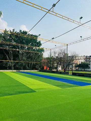 Turf photo 2
