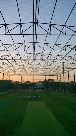 Turf photo 3