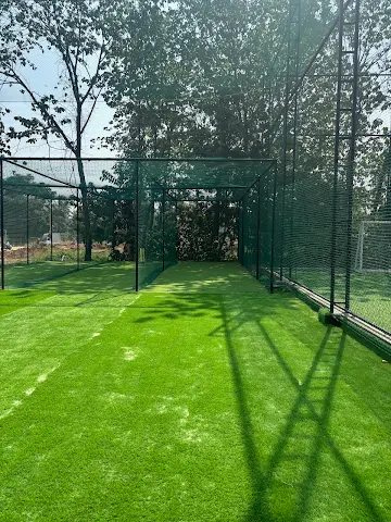 Turf photo 3