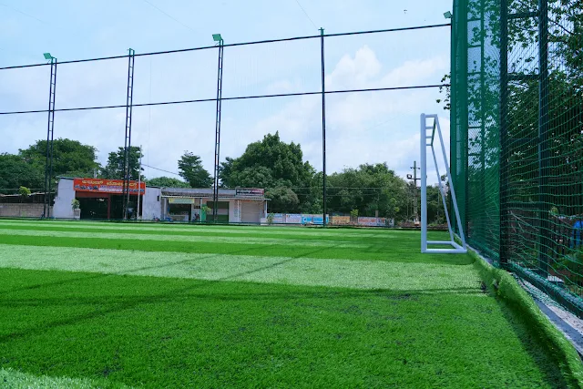 Turf photo 5