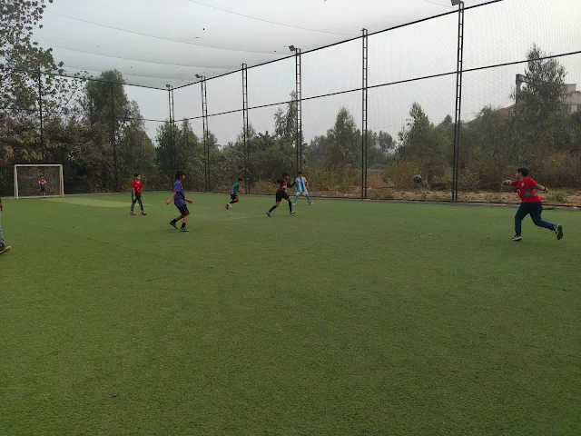 Turf photo 2