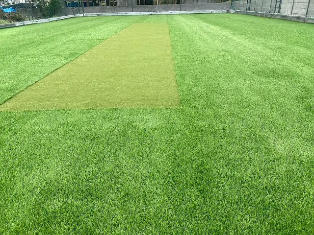 Turf photo 4