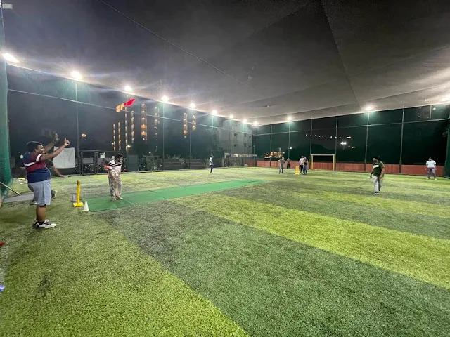 Turf photo 2