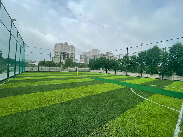 Turf photo 3