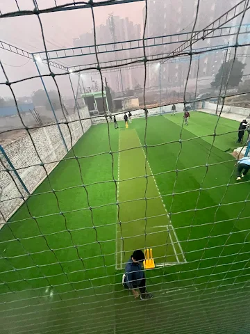 Turf photo 5