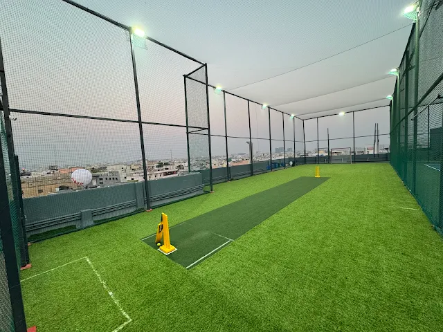 Turf photo 3