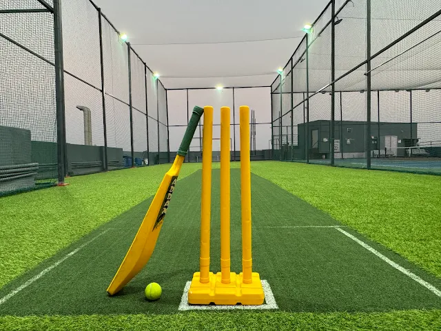 Turf main photo