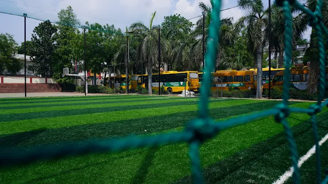 Turf photo 2