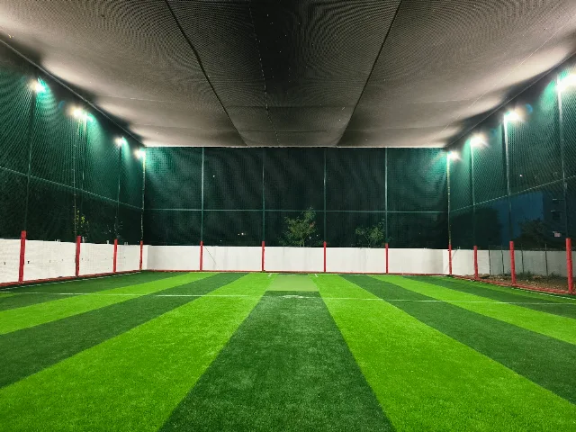 Turf photo 2