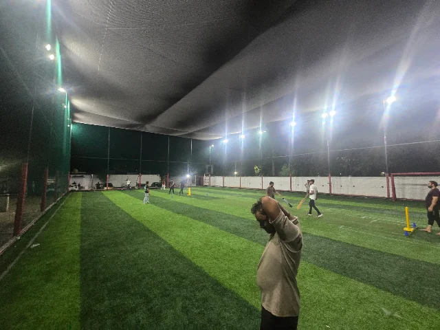 Turf photo 4