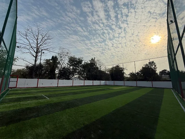 Turf photo 3