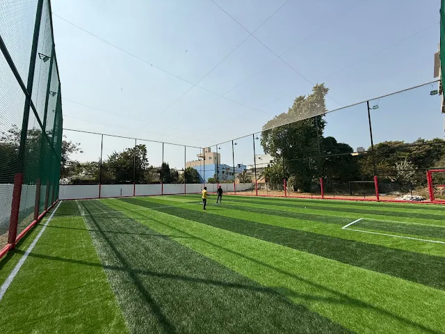 Turf main photo