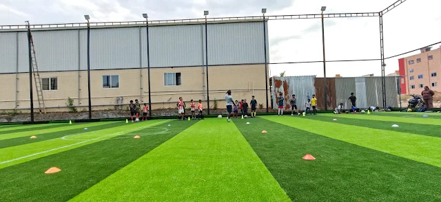 Turf photo 4