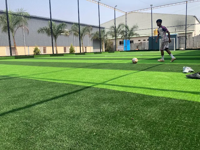 Turf photo 6